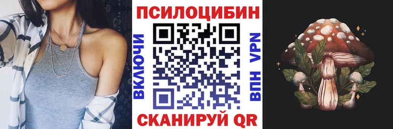 Галлюциногенные грибы GOLDEN TEACHER Кохма