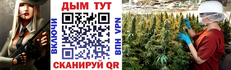 Каннабис индика  Купить закладки  Кохма 